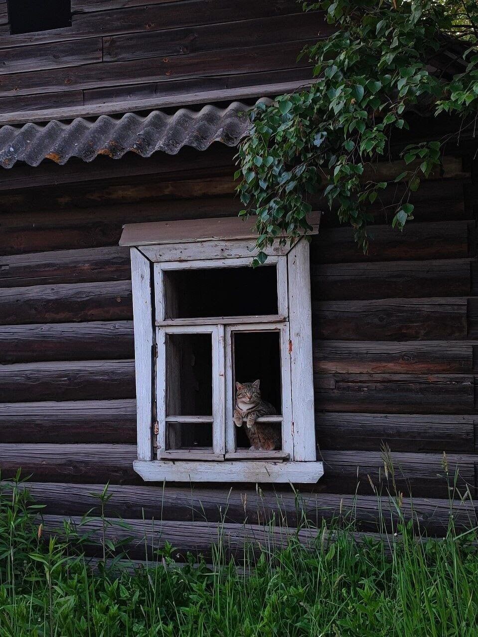 старое окно в доме